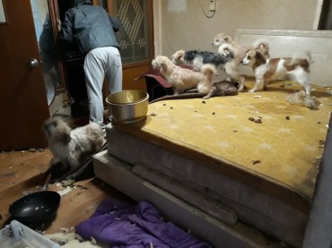 32 Pets Found in Hoarder’s House