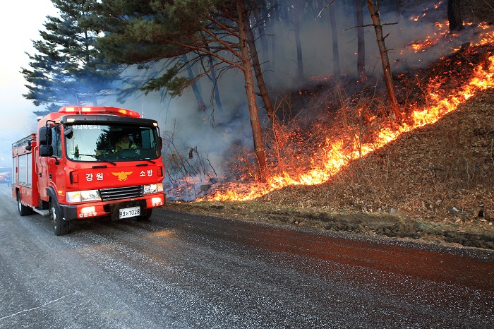 Forest Service to Establish 3D-based Wildfire Spread Prediction System