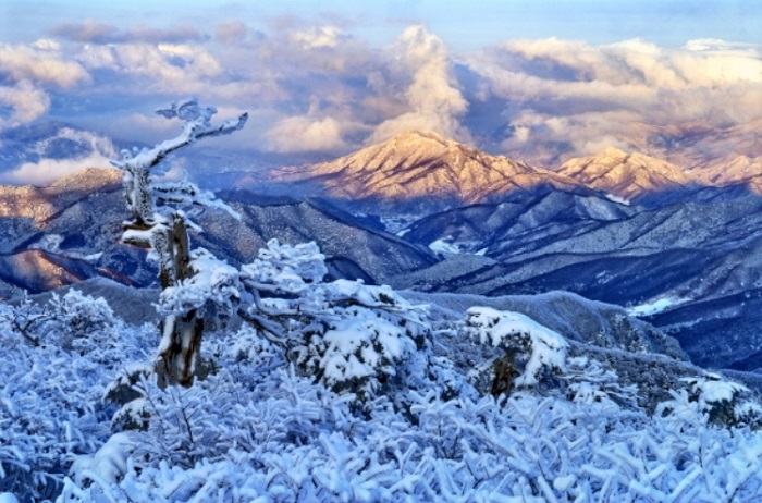 Spate of Illegal Cooking Cases Reported at Mt. Taebaek