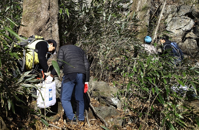 Hadong Residents Extract Bone-friendly Sap from Painted Maple Tree