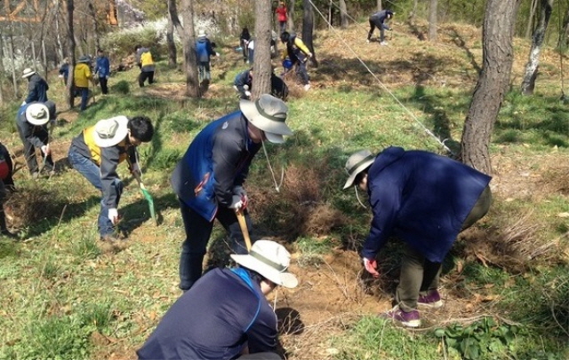 S. Korea Plans to Plant 3 bln Trees By 2050 to Offset Carbon Emissions