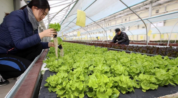 S. Korean Farm Uses Organic Materials from Aquaculture to Grow Crops