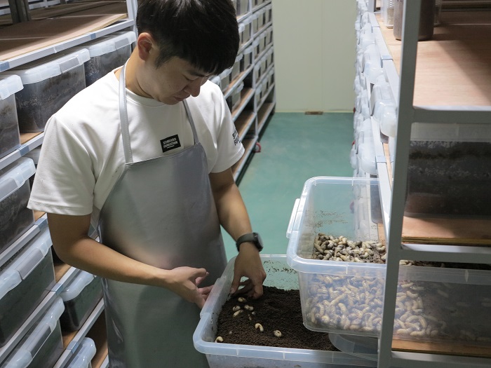 Okcheon County Turns to Insects as a New Food Source