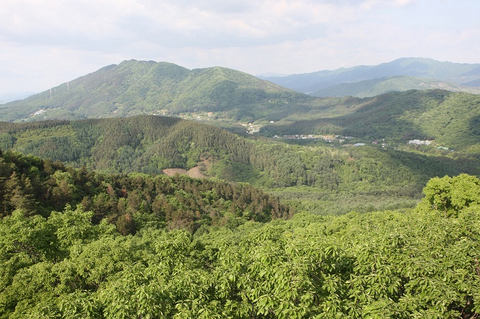 ‘Streets Without Cars’ in Gwangneung Forest