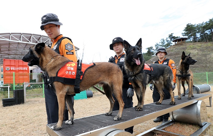 Fire Service Adds Search and Rescue Dogs to All Initial Response Teams