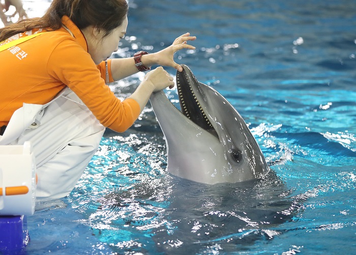 S. Korea to Develop Welfare Standards for Aquarium Animals