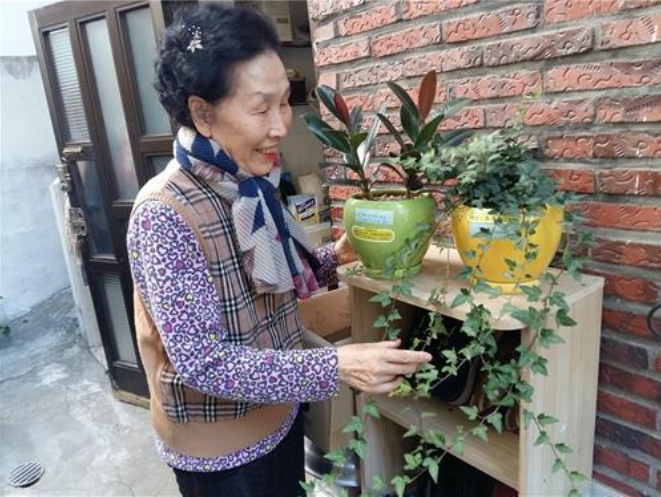 ‘Pet Plants’ for 6,000 Seniors Living Alone in Seoul