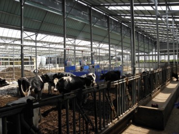 Rural Development Administration Develops Smart Livestock Management System