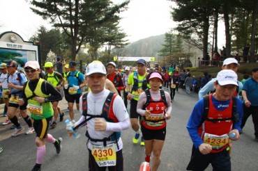 Runners Push Themselves to the Limit at Cheongnamdae Ultra Marathon