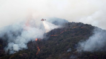 20-hectare Mountain Blaze in Busan Contained After 18 Hours
