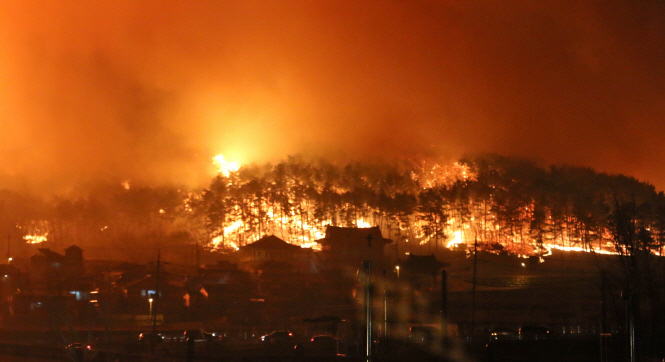 S. Korea Struggles to Battle Worst Wildfire on its Soil in Years