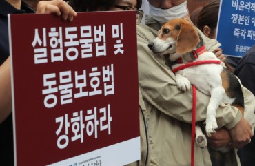 Animal Advocacy Group Calls on Government to Save Beagles from Lab Experiments