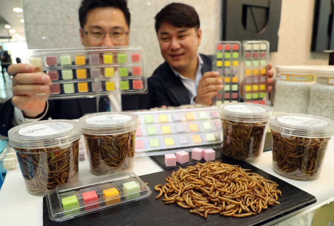 Number of Insect Companies on Rise in S. Korea