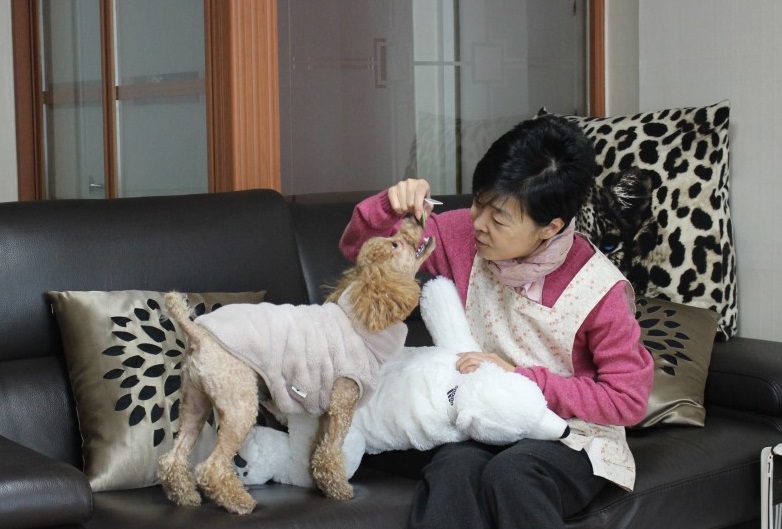 Animal Care Presents New Job Opportunities for the Elderly and Middle-aged  Women | Be Korea-savvy