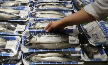 Korean Mackerel More Competitive with Norwegian Drop in Production