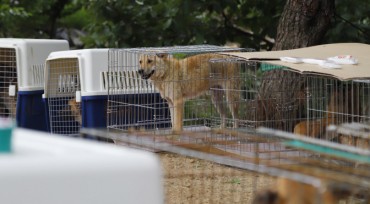Gov’t Must Step in as Shelters are Overflowing with Rescued Animals