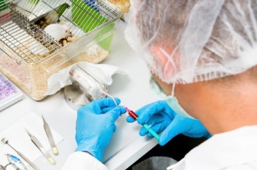 3.72 mln Animals Used in Lab Testing Last Year