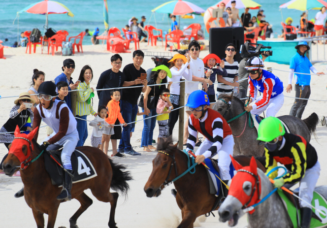Jeju Island to Hold Horse Race at the Beach