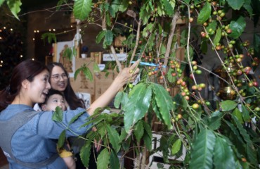 Amid Coffee Boom, Researchers Search for Variety That Can Grow in S. Korea