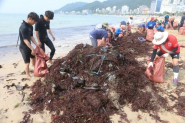 Tropical Storm Washes Up Marine Trash on Busan’s Songjeong Beach