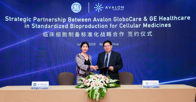 Dr. David Jin (R), President and CEO of Avalon GloboCare and Angela Chen, GE Healthcare CGT Global Commercial Enterprise Solution Leader. (image: Avalon GloboCare Corp.)