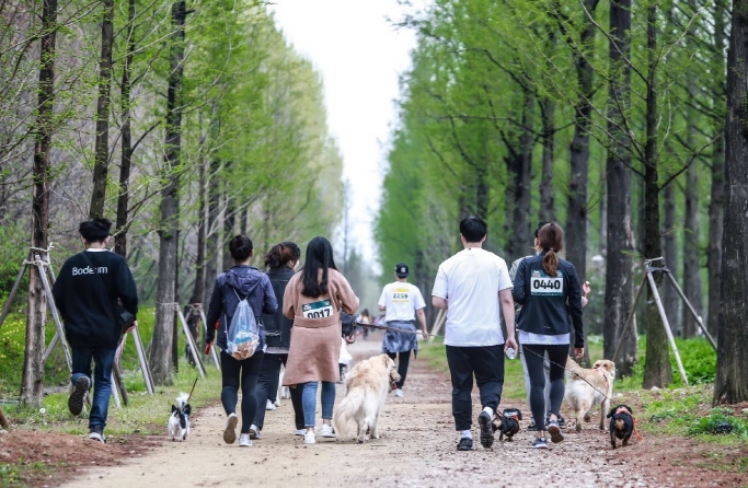Gangneung’s ‘Dog Marathon’ Promotes Positive Pet Culture