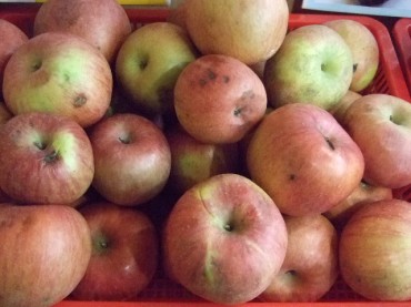 Consumers Embrace ‘Ugly Fruit’ to Save Money
