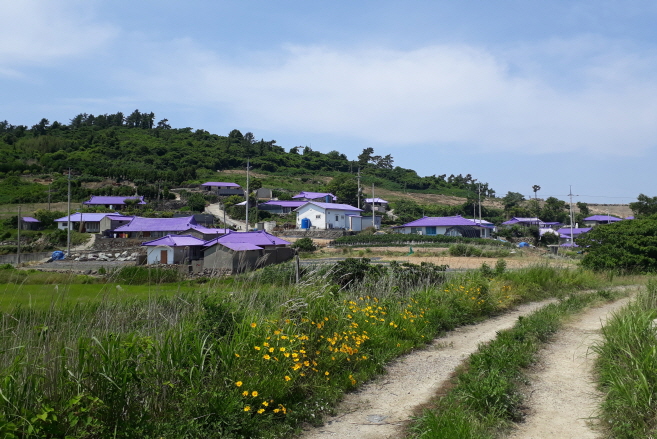 Sinan County to Create ‘Purple Isles’