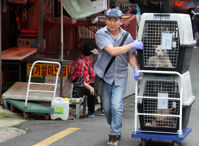 Busan’s Gupo Dog Meat Market to Turn into Animal-friendly Space