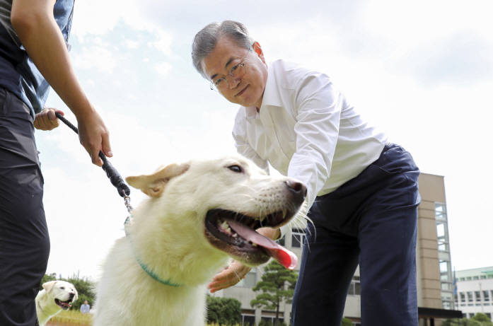 Moon Distributes Puppies of Pungsan Dogs Gifted by N.K. Leader