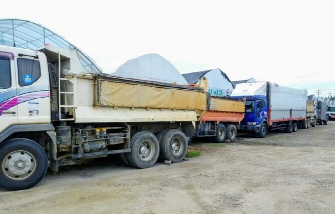 Dump Trucks Successfully Protected Greenhouses During Typhoon