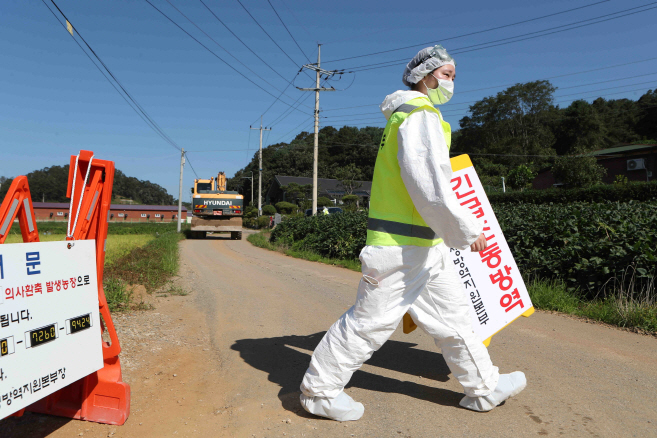 S. Korea Going All-out to Stem Spread of African Swine Fever