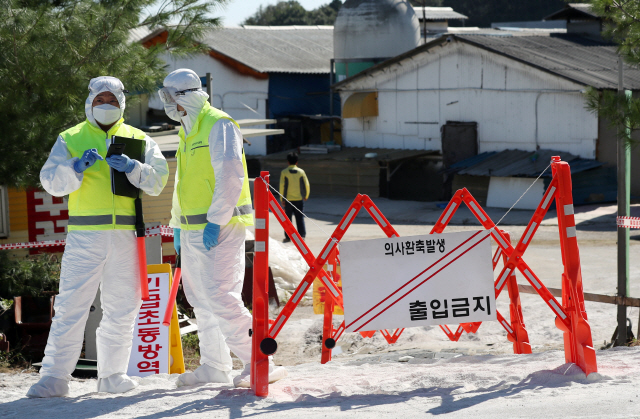 Quarantine officials control access to a pig farm in Gimpo, west of Seoul, on Sept. 23, 2019, after another suspected case of African swine fever was reported earlier in the morning from a farm in the area. (Yonhap)