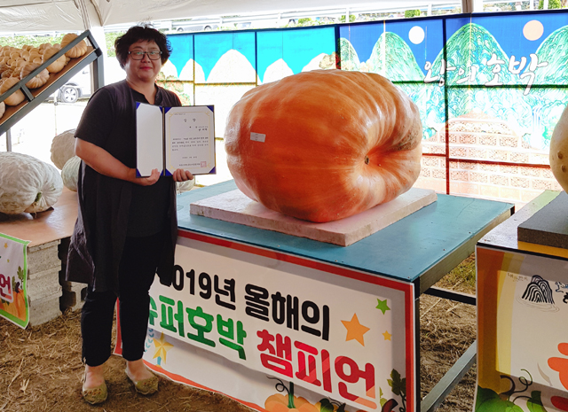 Uiryeong County Farmer Wins Super Pumpkin Contest