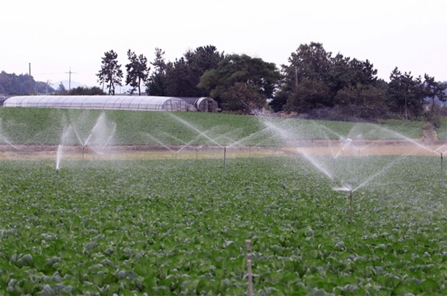 Gov’t Develops AI Crop Irrigation System