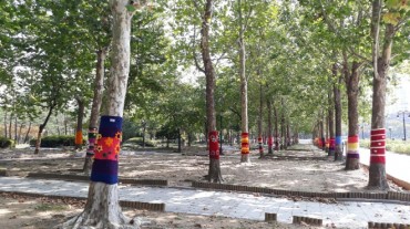 Anyang Clothes Trees with Wool Sweaters
