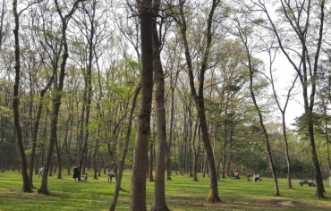 S. Korean Forests Have Public Interest Value of 221 tln Won