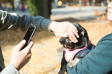 Gov’t Mulls Bio-recognition Technology for Pet Registration