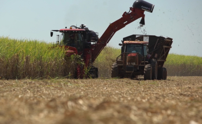 Behind the Wheel: Simply the Best – 75 years of Mechanized Sugar Cane Harvesting