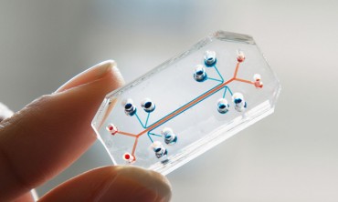 Organ Chips on the Rise to Replace Animal Experiments for New Drugs