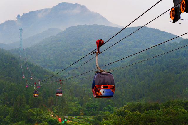 Tongyeong Cable Cars Transformed into Christmas Cakes