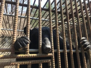 Animal Rights Group Urges National Assembly to Fund Bear Shelter