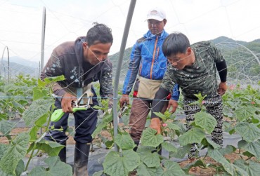 Foreign Seasonal Workers Offset Labor Shortage in Agricultural and Fisheries Industry
