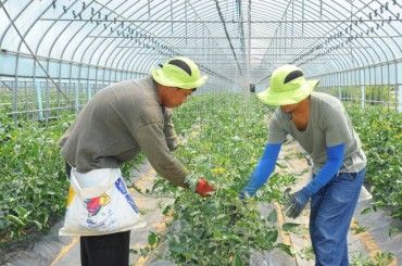 Number of Foreign Workers in S. Korea Drops for 2nd Year