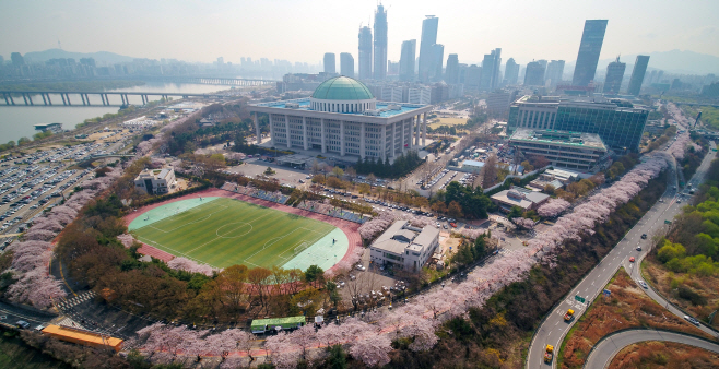 Yeouido Spring Flower Festival Voted Most Popular Festival in Seoul