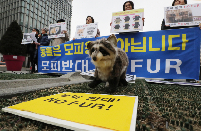 Animal Protection Agency Calls for Ban on Fur Production