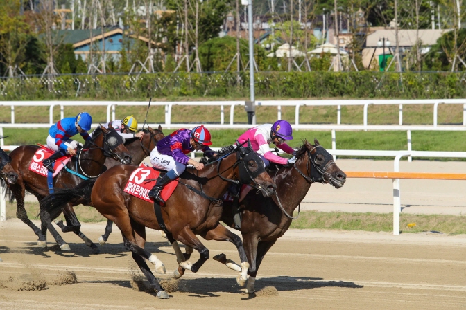 Exports of South Korea's horse racing systems are expected to reach 5 billion won (US$4.29 million) in 2020, vastly up from 300 million won a year earlier. (Yonhap)