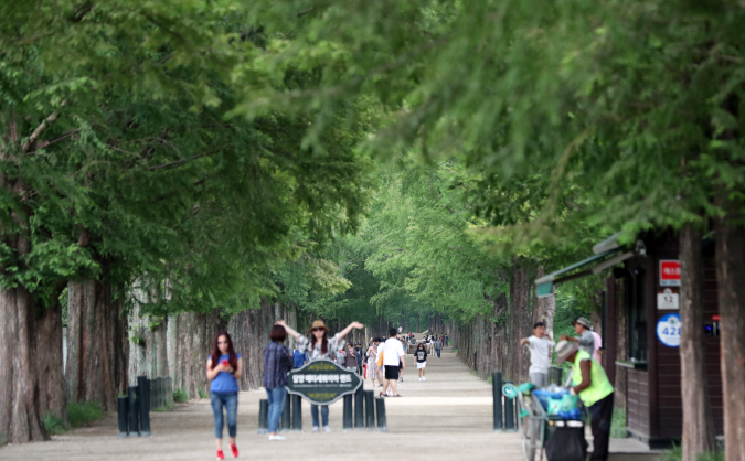 Court Rules Entrance Fee at Metasequoia Way is Legal