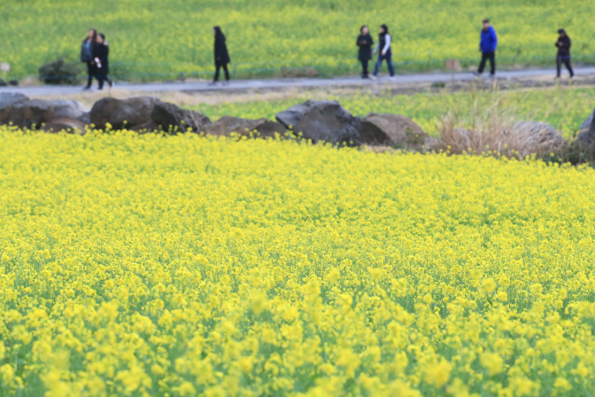 S. Korea Sees Warmest January on Record