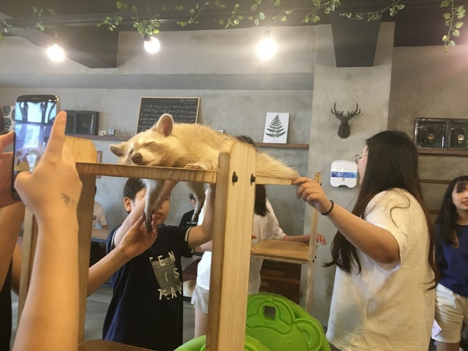 Wildlife cafes have expanded from 35 to 64 locations over the last two years. (image: AWARE (Animal Welfare Awareness, Research and Education))